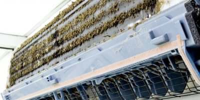 Klimatizace plná plísně a nečistot.