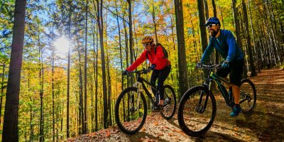 Žena a muž na horských kolech na lesní cestě