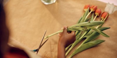 Žena stříhá stonky tulipánů