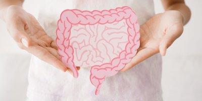 Ruce drží růžovou maketu střev