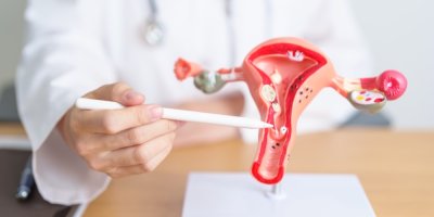 Lékařka ukazuje propiskou na model dělohy