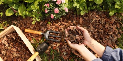 Žena drží v rukou mulčovací kůru, kolem záhon pokrytý mulčem