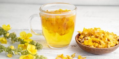 Čaj z květů divizny