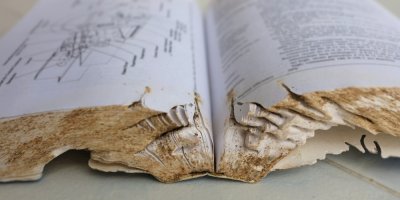 Detail knihy zničené parazity