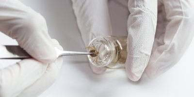 Klíště se dává do malé skleničky