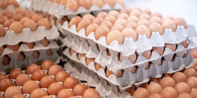 Vejce v proložkách