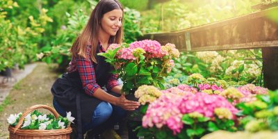 Žena drží květináč s hortenziemi