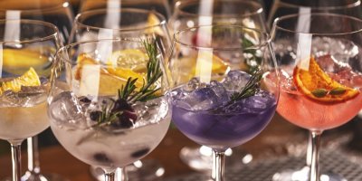 Sklenice s různě barevnými a ozdobenými drinky gin tonic