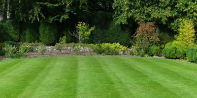 Posekaný trávník na zahradě