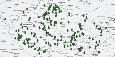 Kde jsou naše lesy