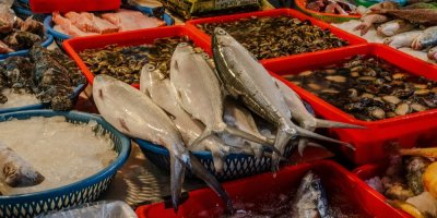 Čerstvé ryby na pultu na venkovním trhu