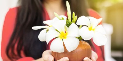 Žena drží květináč s plumérií