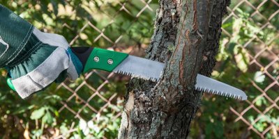 Řezání větve stromu pilkou