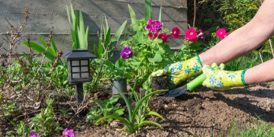 Žena pracuje na záhonku