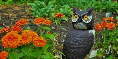 Keramická sova s otočnou hlavou umístěná v záhoně květin