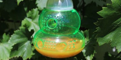 Zavěšená past na vosy