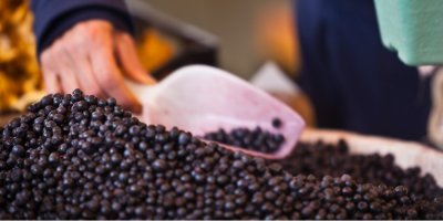 Nabírání borůvek lopatkou