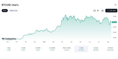 Graf zobrazující pomalu narůstající cenu bitcoinu za posledních 12 měsíců.