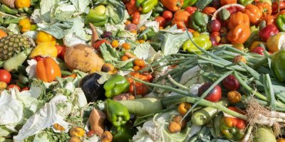 Různé druhy zeleniny a ovoce, některé kousky jsou zkažené