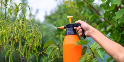 Muž aplikuje postřik na strom