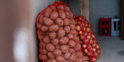 Dva pytle brambor uložené ve sklepním prostoru