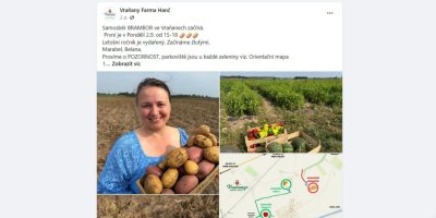 Příspěvek na Facebooku ohlašující samosběr brambor od Farmy Vraňany