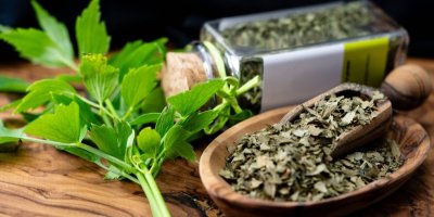 Větvička čerstvého libečku a sušený libeček v misce