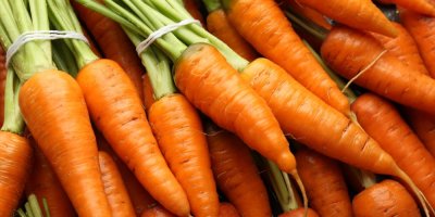 Spousta mrkve na hromadě
