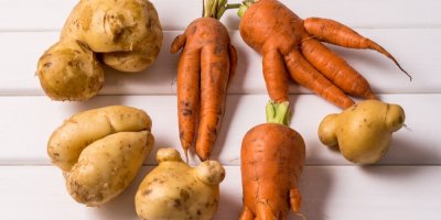 Brambory a mrkev různých tvarů