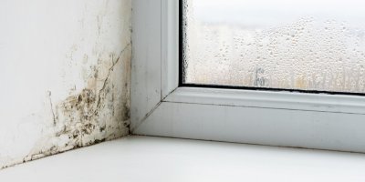 Plíseň na zdi u okna