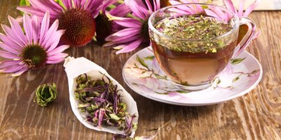 Čaj z třapatky nachové