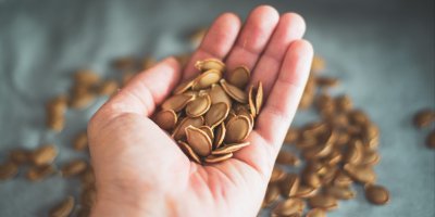 Hrst dýňových semínek 