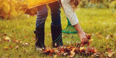 Žena hrabe listí hráběmi