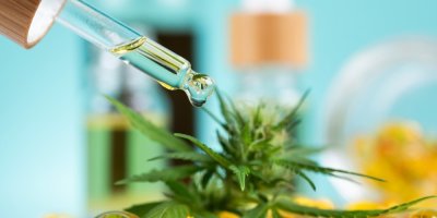 Kapky se kapou na rostlinu marihuany