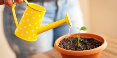 Žena zalévá žlutou konvičkou citronový výhonek