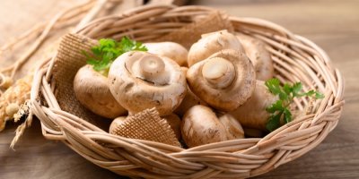 Žampiony v košíčku