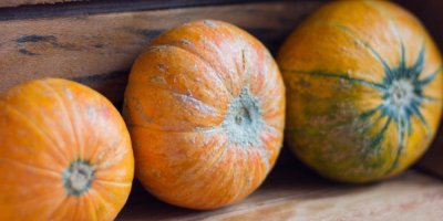 Tři dýně v dřevěném boxu