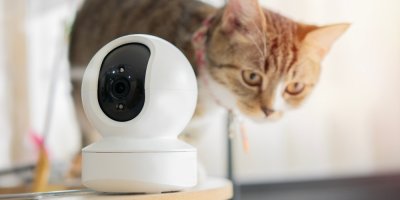 Domácí kamera, za ní kočka