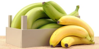 Zralé a nezralé banány