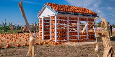 Svět dýní Drnholec