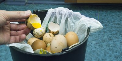 Skořápky od vajec v koši