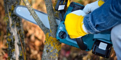 Řezání stromu řetězovou pilou