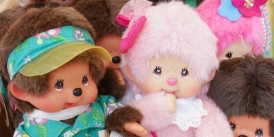 Různé druhy mončičáků