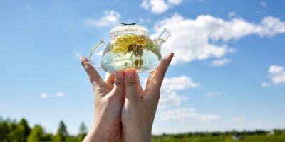 Ruce drží louhující se čaj v konvi