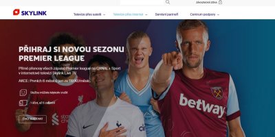 Skylink