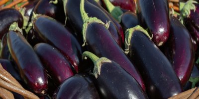 Košík zralých lilků