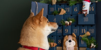 Zvířecí adventní kalendář.