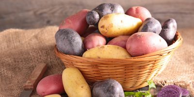 Různé druhy brambor v košíku