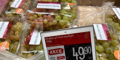 Plastové vaničky hroznů s příchutí muškátu, v popředí cedulka s popisem a cenou 