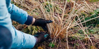 Zahradník stříhá trávu